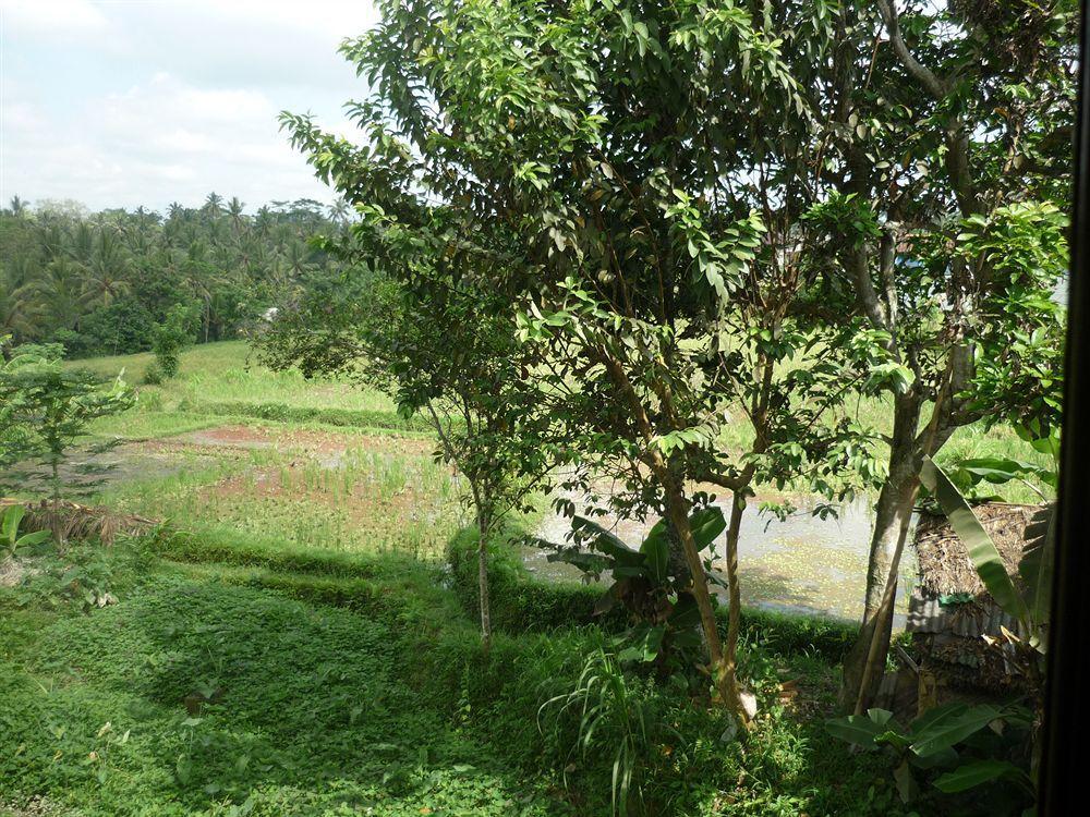 Kudos Guesthouse Ubud 외부 사진