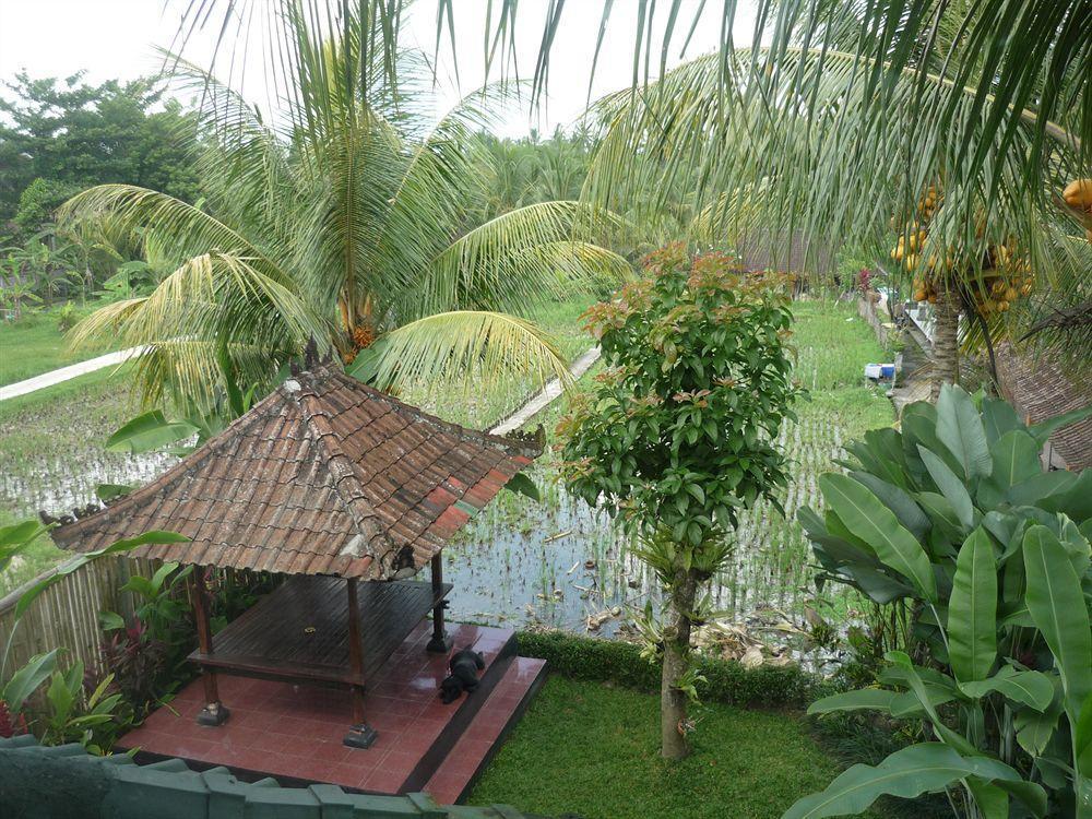 Kudos Guesthouse Ubud 외부 사진
